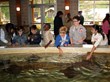 Primoris Academy Students Visit Turtle Back Zoo to Classify Animals