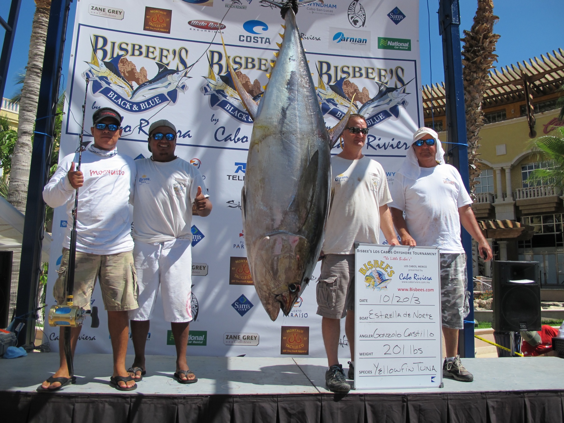 Wahoo Loco 201lb Yellowfin Tuna Wins Bissbees Offshore Marlin