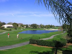 Bay Hill Golf Course View