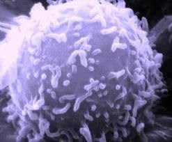 Actos: serious adverse events
