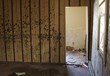 Post-Sandy Mold Remains a Problem, My Cleaning Products Shares Mold...