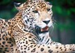 JOURNEYS International Offers New Family Adventure Trips