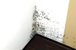 Mold Contaminates Another New Hanover School, My Cleaning Products...