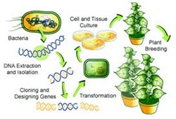 Biotechnology @ ScienceIndex.com