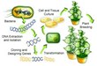 The Latest Biotechnology and Ecology Science Newly Featured at...