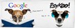 The Future of Search Will Be Visual
