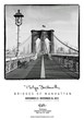 New York Exposure Presents All the Bridges of Manhattan, in One Place