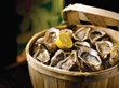 Hyatt Regency Chesapeake Bay Resort Offers Unbeatable Rate of $89 Per...