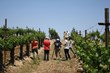 Temecula Valley Debuts FilmTemecula.com for Spectacular, Simple, Easy...