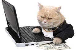 How to Become a Successful Copywriter