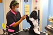 DNAinfo.com New York’s 2013 “Holiday Gift Guide” Highlights Local...
