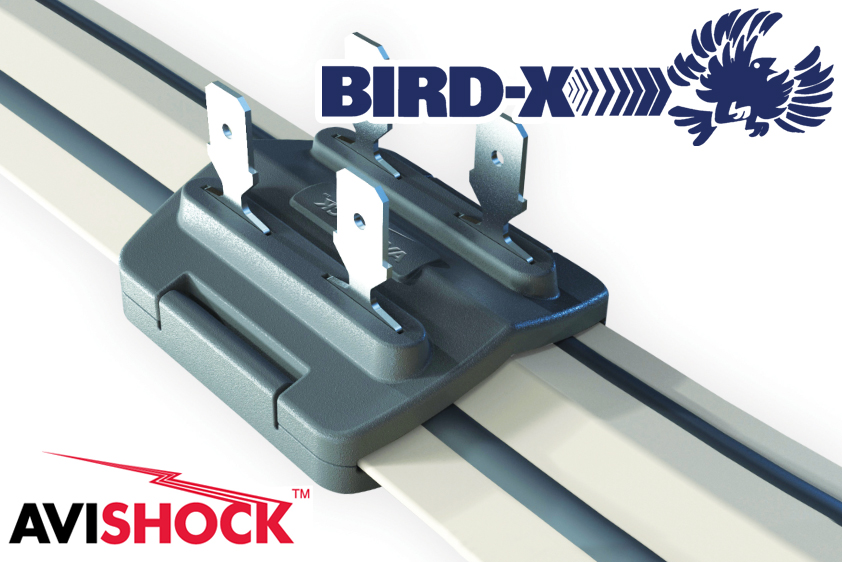 BirdX, Inc. and P+L Systems (UK) Announce Partnership Paving the Way