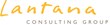 Lantana Consulting Group to Lead CMS Hospital Quality Initiatives...
