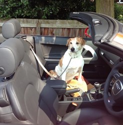 Audi Cabriolet reviews