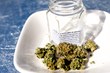 Ryder Law Office Takes on Washington's New Marijuana Rules