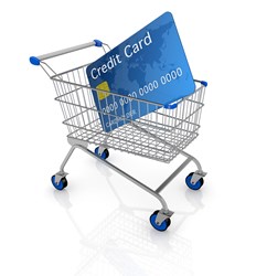WP Payment Processing