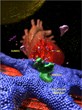 Mount Sinai's Novel Gene Therapy Works to Reverse Heart Failure