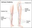 Novant Health Vein Specialists Publish New Article on Explaining Vein...