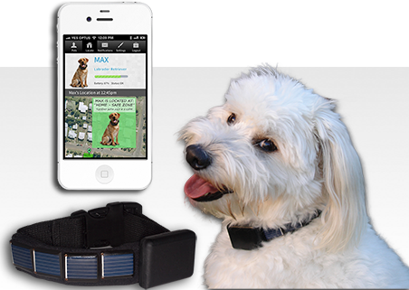 Solar Powered Pet GPS Tracker for 
