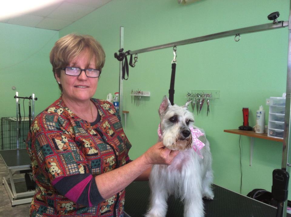 Expert Pet Groomer Joins the Modern White Plains, NY Pet Store, NY Breeder