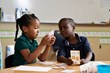 Imagine Schools Announces Series of Steps to Raise Expectations,...