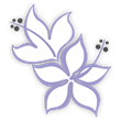 ThePurpleLily.Com Opens Cyber Monday Touting It as the Ultimate Place...