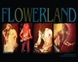 If You Find Yourself Waxing Nostalgic for the Days of Grunge,...