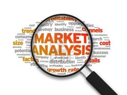 Business Analysis