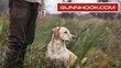 GunnHook.com Offers Unparallelled Deals for Outdoor Enthusiasts