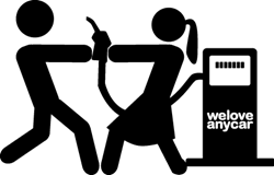 weloveanycar.com eco survey