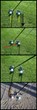 Blade Runner Golf Strives to Offer a Superior Sand Wedge with Its...