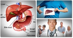 18 tips on how to improve liver function