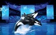 Visit SeaWorld Orlando’s Christmas Celebration With Smart Destinations