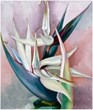 The Georgia O’Keeffe Museum Announces New Exhibition Opening February...