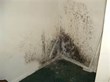 Mold Contaminates Chattanooga Fire Station to Closure, My Cleaning...