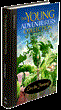 Leading Publisher in Personalized Novels, Book By You Introduces...
