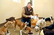 PAWS CHICAGO Partners with Merrick Pet Care to Improve the Lives of...