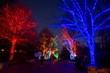 A Month of Holiday Fun at the Zoo