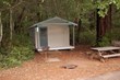 Santa Cruz Redwoods Wildlife Appreciation in the Winter
