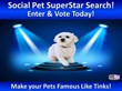 Karen Bostick, Founder/CEO of PetsPage.com Launches “Social Pet...