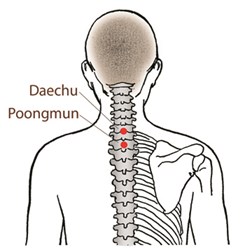 holistic remedies, cold prevention, energy points, acupressure, dahn yoga health, dahn yoga principles, yoga for cold and flu season
