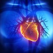 Narconon Focuses Attention on the Health Damage of Illicit Drugs with...