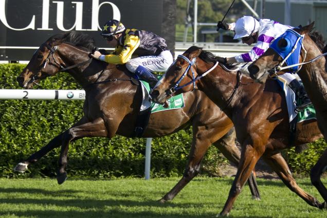 Horse Racing Breakthrough - Guinea Pig To The Winner’s Circle