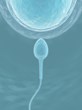 “New Sperm Test Could Reduce Surgery” Asons Solicitors Comment