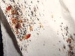 Bed Bugs Brew Problem at Nebraska Homeless Housing; My Cleaning...