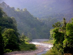 The Savegre River - Road to Rafik