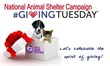 A Unique Way to Help Animal Shelters Across the Nation this Holiday...