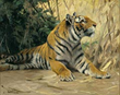 New “Conservation Gallery” Exhibition at the National Museum of...