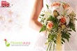 FlowerAura Gives Indian Users What They Want: No-cost Shipping/Holiday...