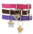 Posh Pet ID QR Code Charm Collars Top the Holiday List